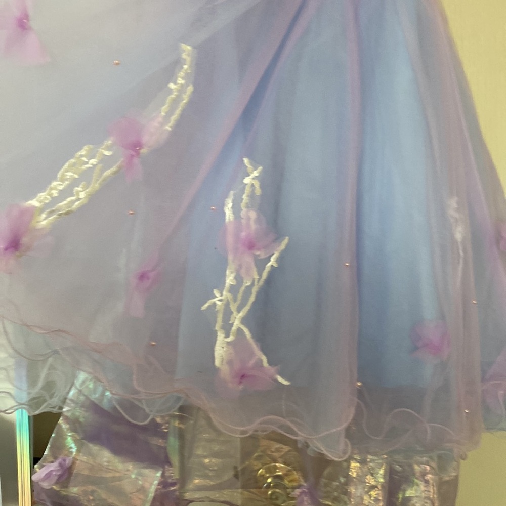 BEAUTIFUL PRINCESS DRESS - Picture 7 of 7